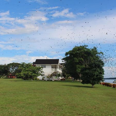 Baganara Island Resort Bartica エクステリア 写真
